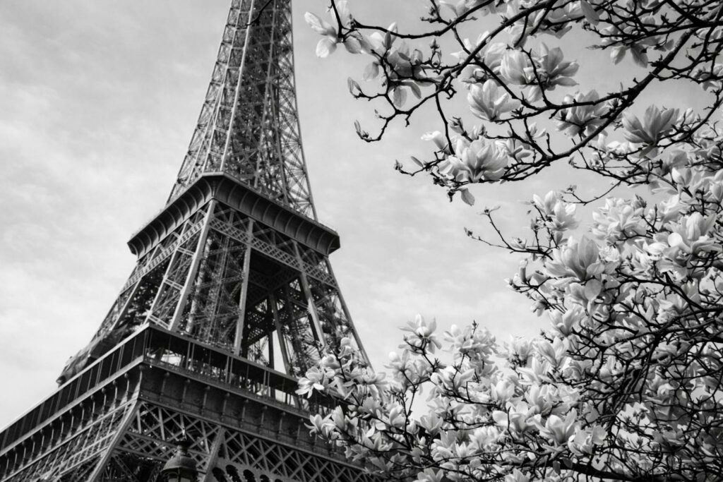 paris preto