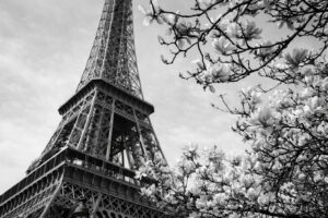 paris preto